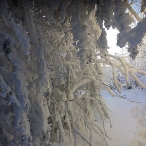 Meet your Posher, Margo